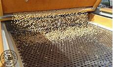 Grain Processing Machinery