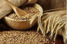 Grain Transportation