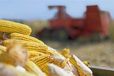 Grain Transportation