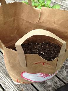 Grocery Bags