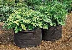 Grow Bags