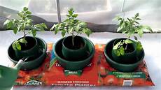Grow Bags