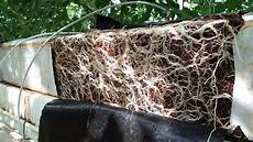 Grow Bags