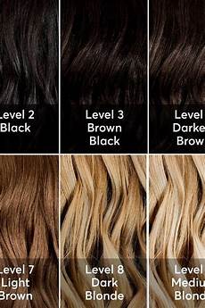 Hair Highlights