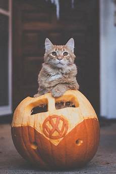Halloween Pumpkins