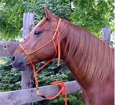 Halters