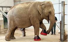 Handicapped Shoes