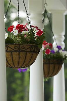 Hanging Baskets