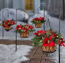 Hanging Baskets