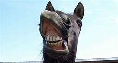 Healthy Teeth