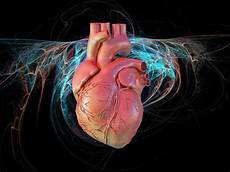 Heart Disease