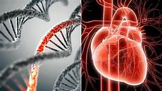 Heart Disease