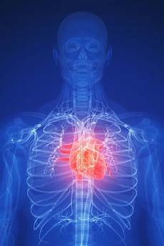 Heart Disease