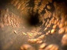 Heat Exchanger Inspection