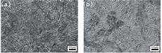 Heat Treated Alloy Steel