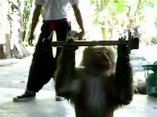 Heavy Lifting
