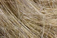 Hemp Fiber