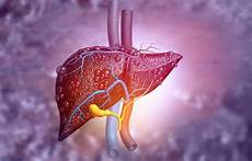 Hepatitis B