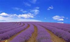 Herbicides