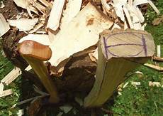 Hickory Handles Axes