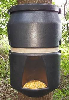Hog Feeder