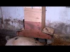 Hog Feeder