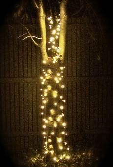 Holiday Lighting