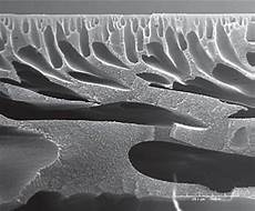 Hollow Fiber