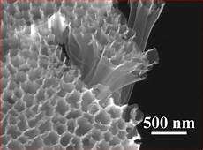 Hollow Fiber