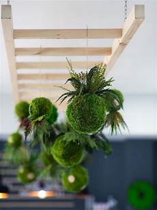 HomeDecor