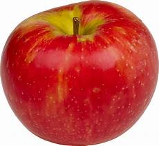 Honey Crisp Apples
