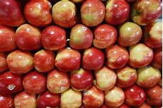 Honey Crisp Apples