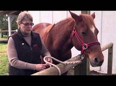 Horse-Care-Products
