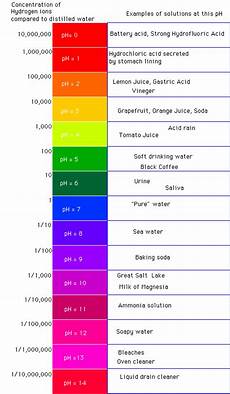 Household Scales