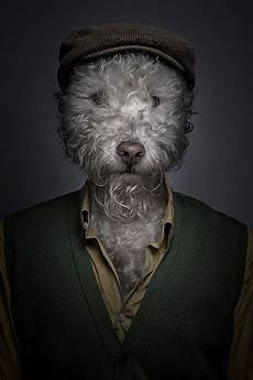 Human Wigs