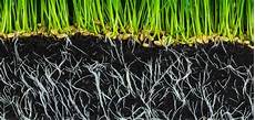Humic Acids