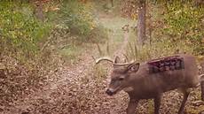 Hunting-Cameras