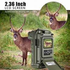 Hunting-Cameras
