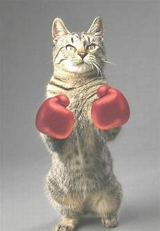 Hunting Gloves
