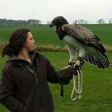 Hunting Gloves