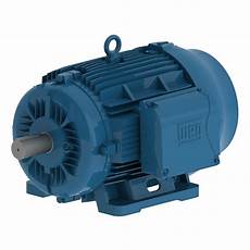 IEC Tru-Metric Motors