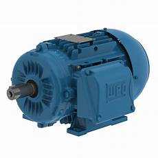 IEC Tru-Metric Motors