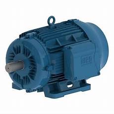 IEC Tru-Metric Motors