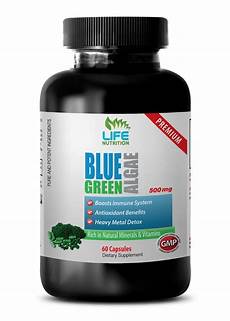 Immune Booster