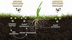 Inorganic Fertilizer