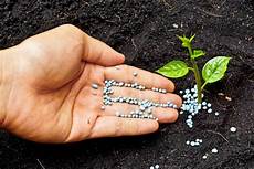 Inorganic Fertilizer