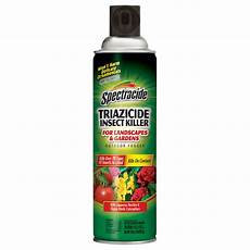 Insect Fogger