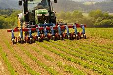 Interrow Cultivator