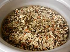 Japonica Rice