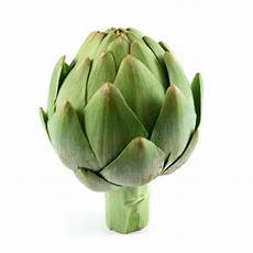 Jerusalem Artichoke Extract